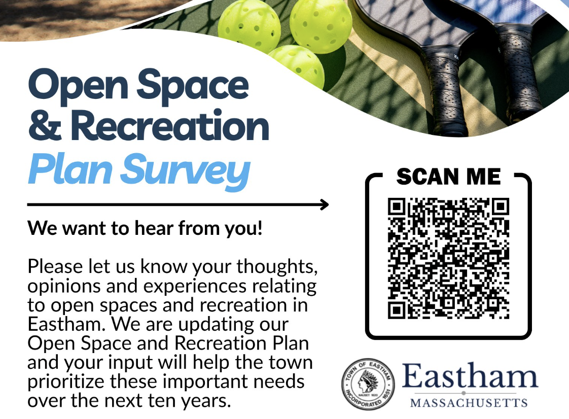 open space and recreation survey